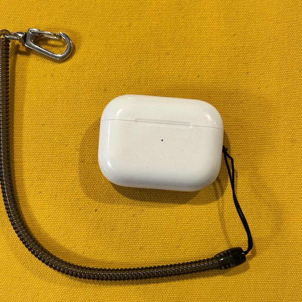 Apple White Earbud Headphones with Case